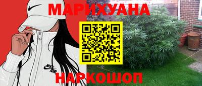 сатива Нальчик