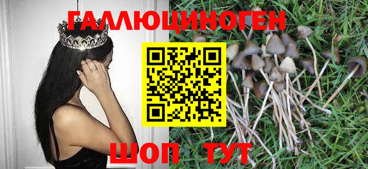 Лсд 25  Гашиш  Вход с VPN  Cocaine  Рубцовск  МЕФ кристаллы  Бошки Шишки  Codein 