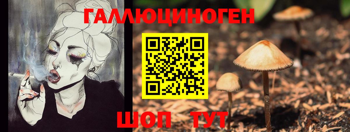 Псилоцибиновые грибы MAGIC MUSHROOMS  наркотики  Рубцовск  Вход с VPN 