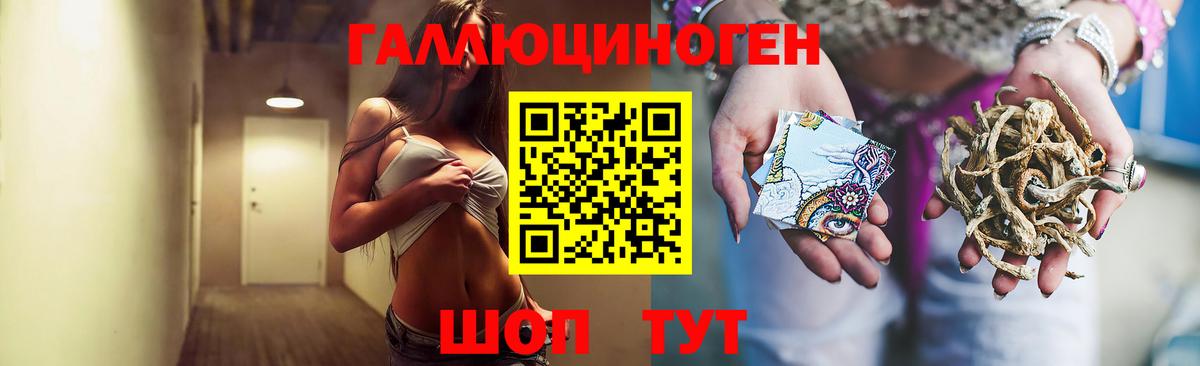 Галлюциногенные грибы GOLDEN TEACHER Рубцовск